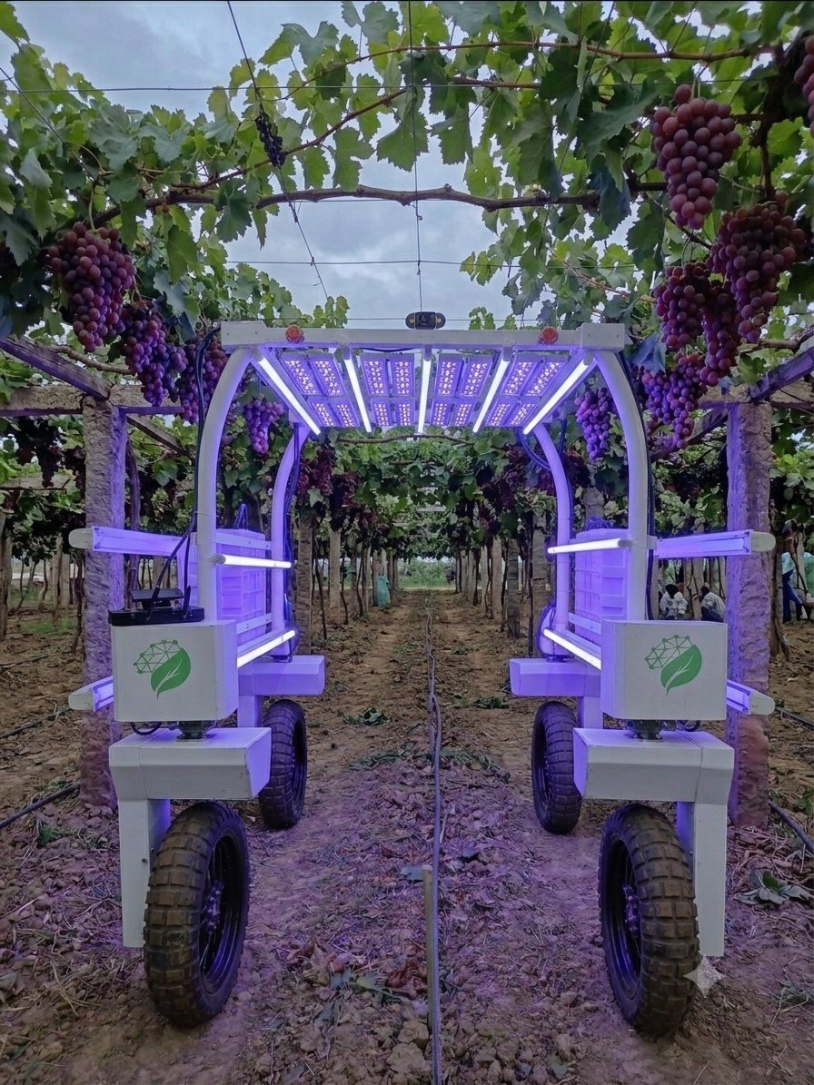 AI-guided precision treatment system operating beneath a vineyard canopy